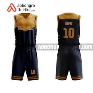 Mẫu quần áo bóng rổ THPT Chuyên Nguyễn Du màu xanh gần đây ABR747